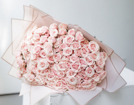 Instagram Favorites 70